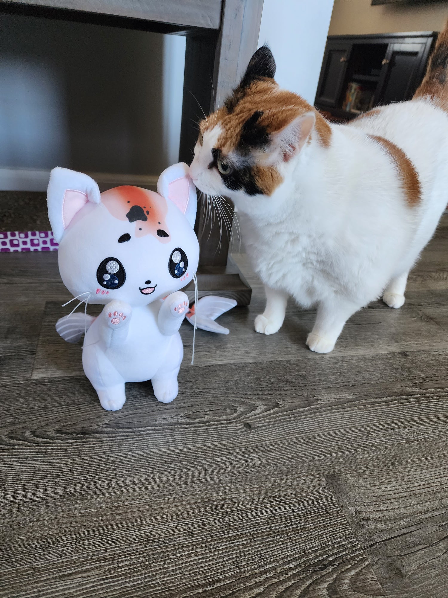Catfish plush prototype has arrived! Bittersweet Haven